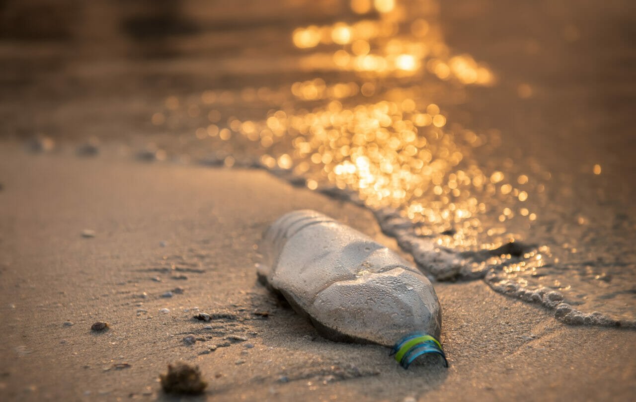 Plastic Bottle On A Beach