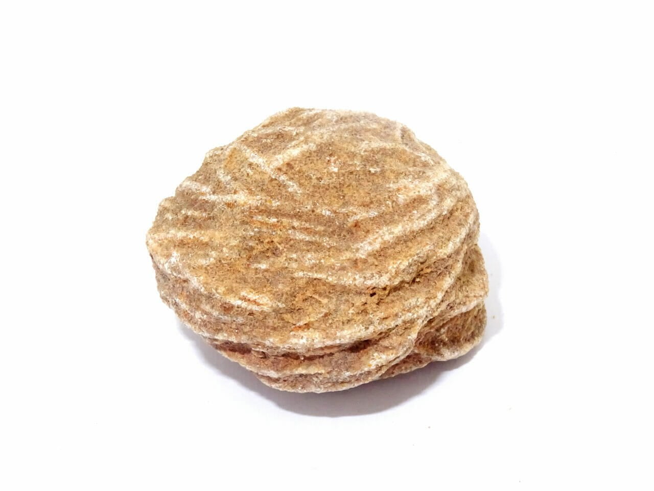 Desert Rose