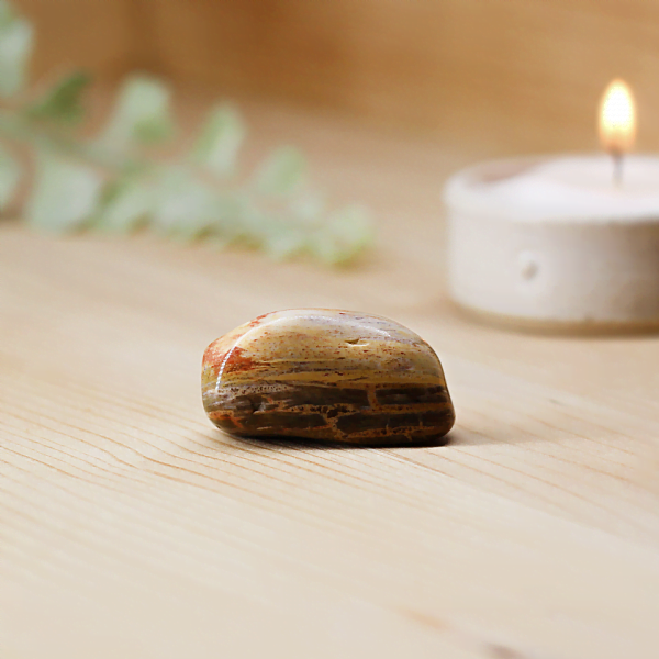 Petrified Wood Tumblestone At Surrender To Happiness