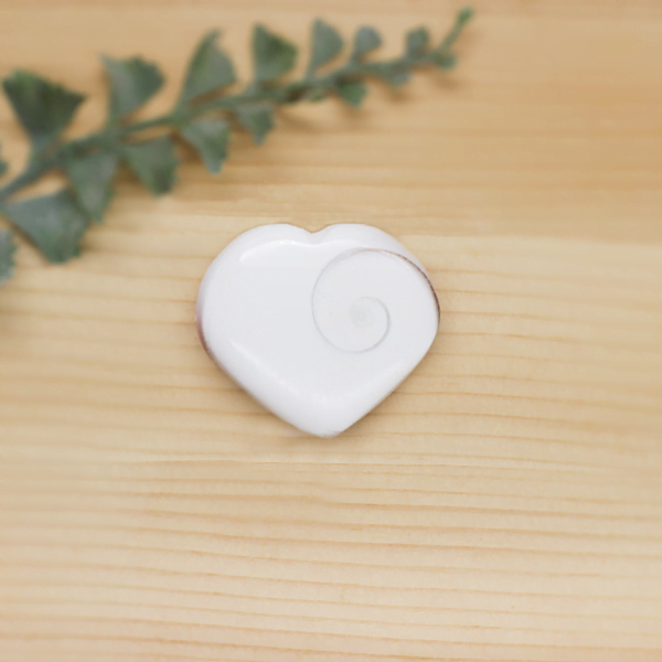 Shiva Shell Heart At Surrender To Happiness