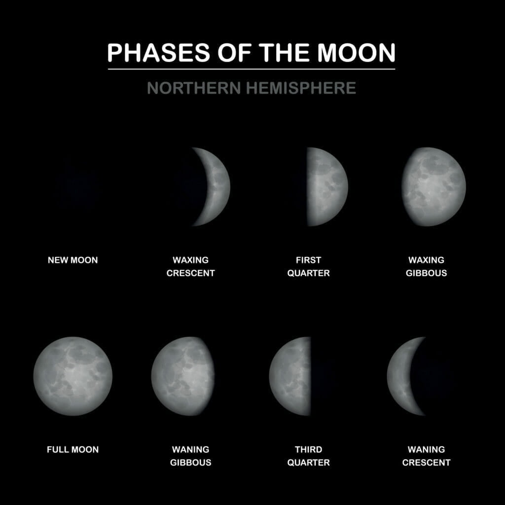 Moon Phases