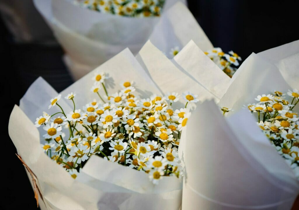 daisies and lapis lazuli make a great crystal and flower combination