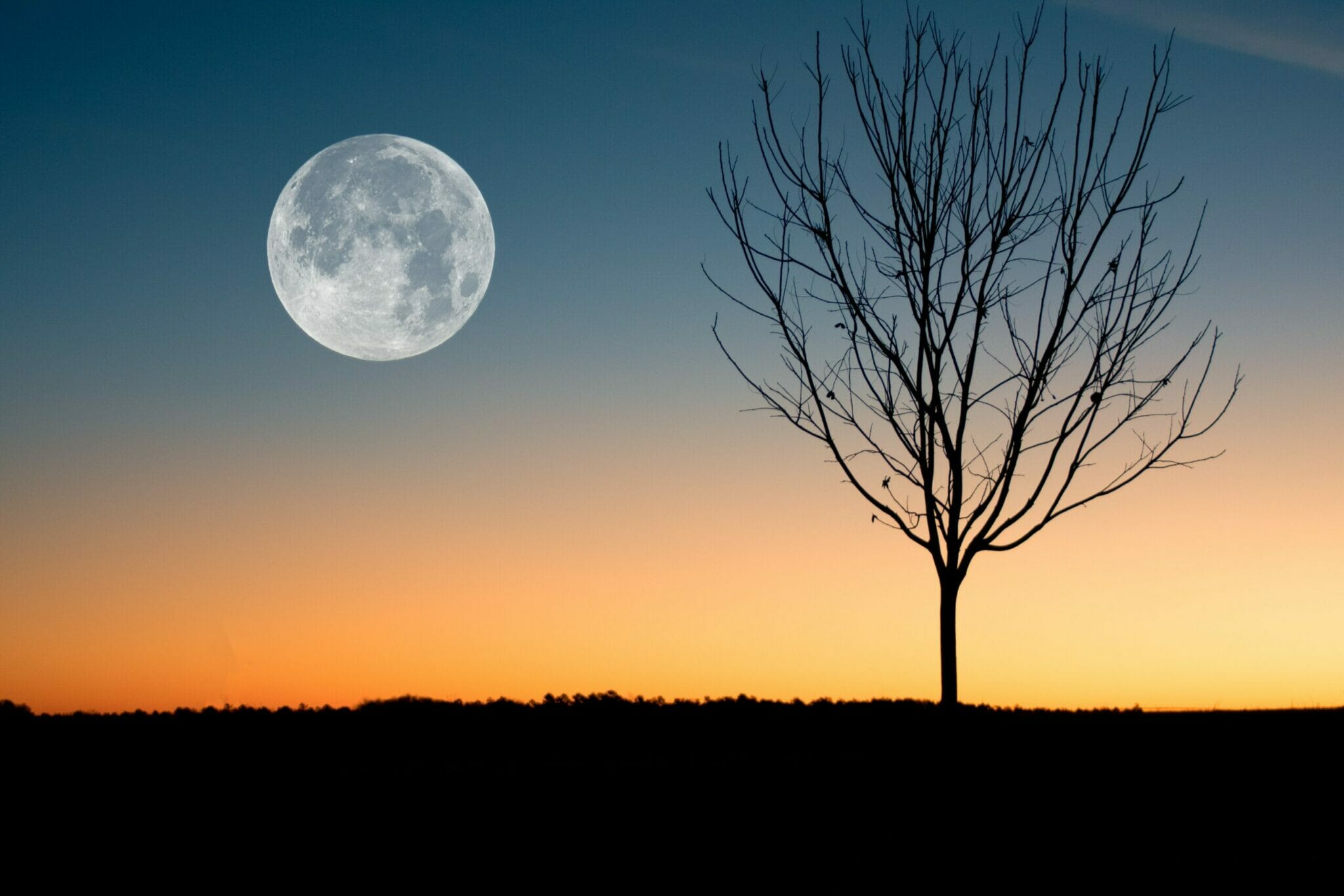 Moon Bathing