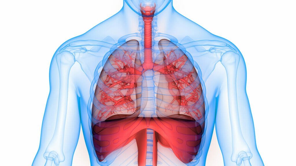 breathwork mechanics