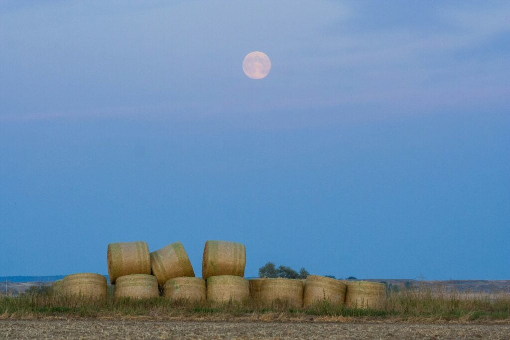Harvest Moon