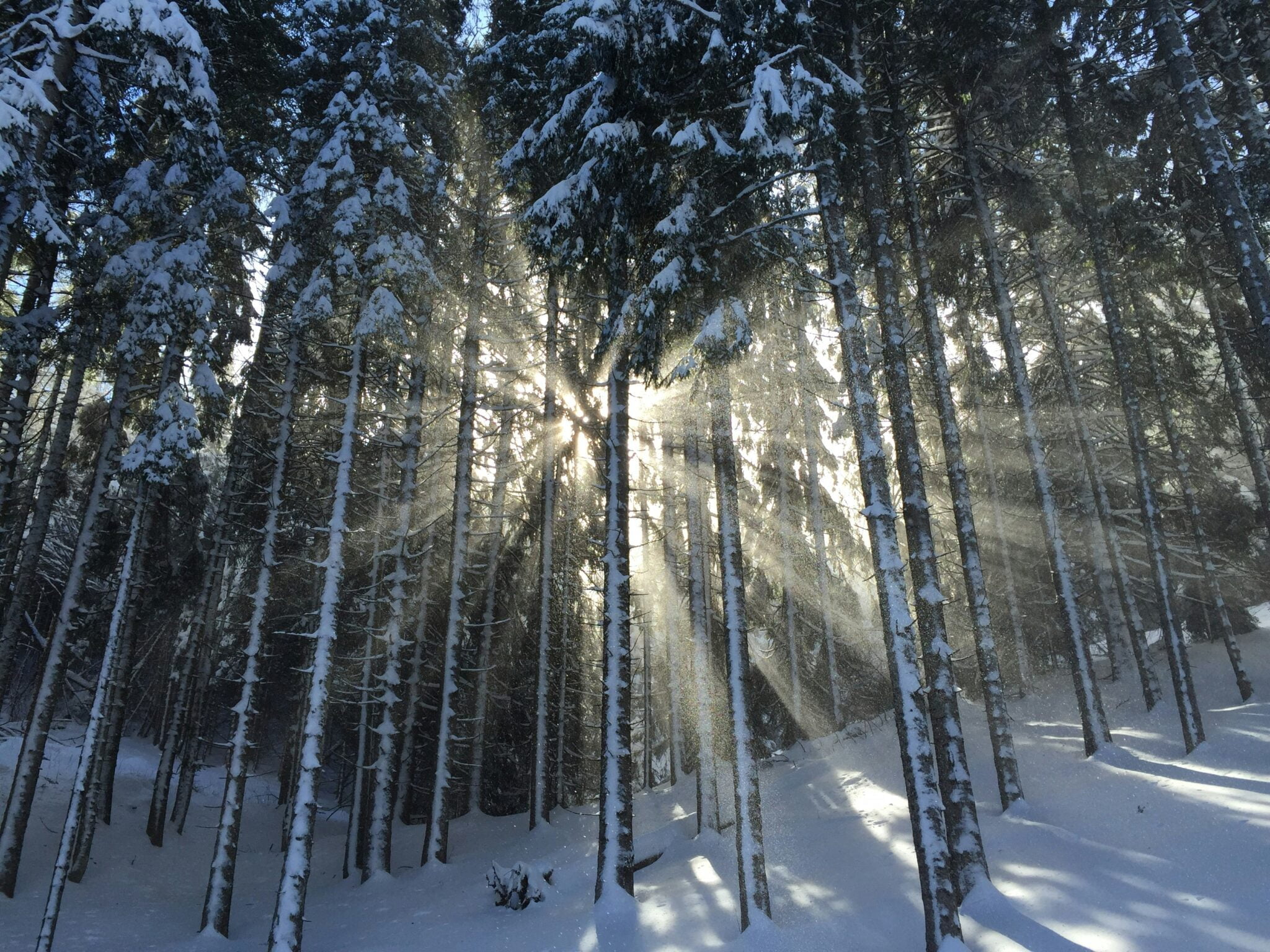 Yule and the winter solstice