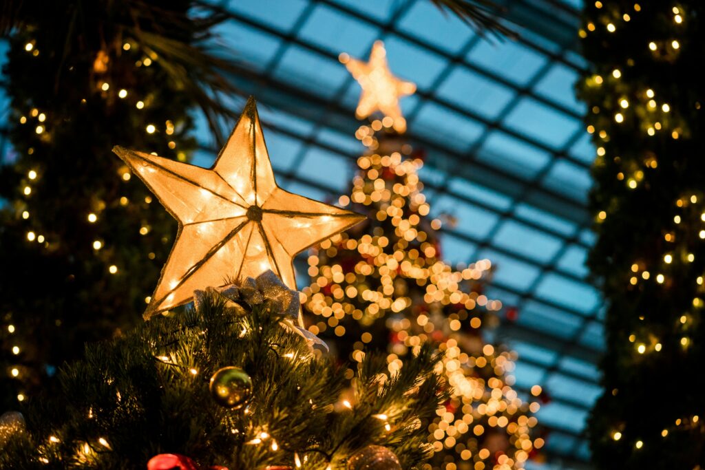 Christmas lights
