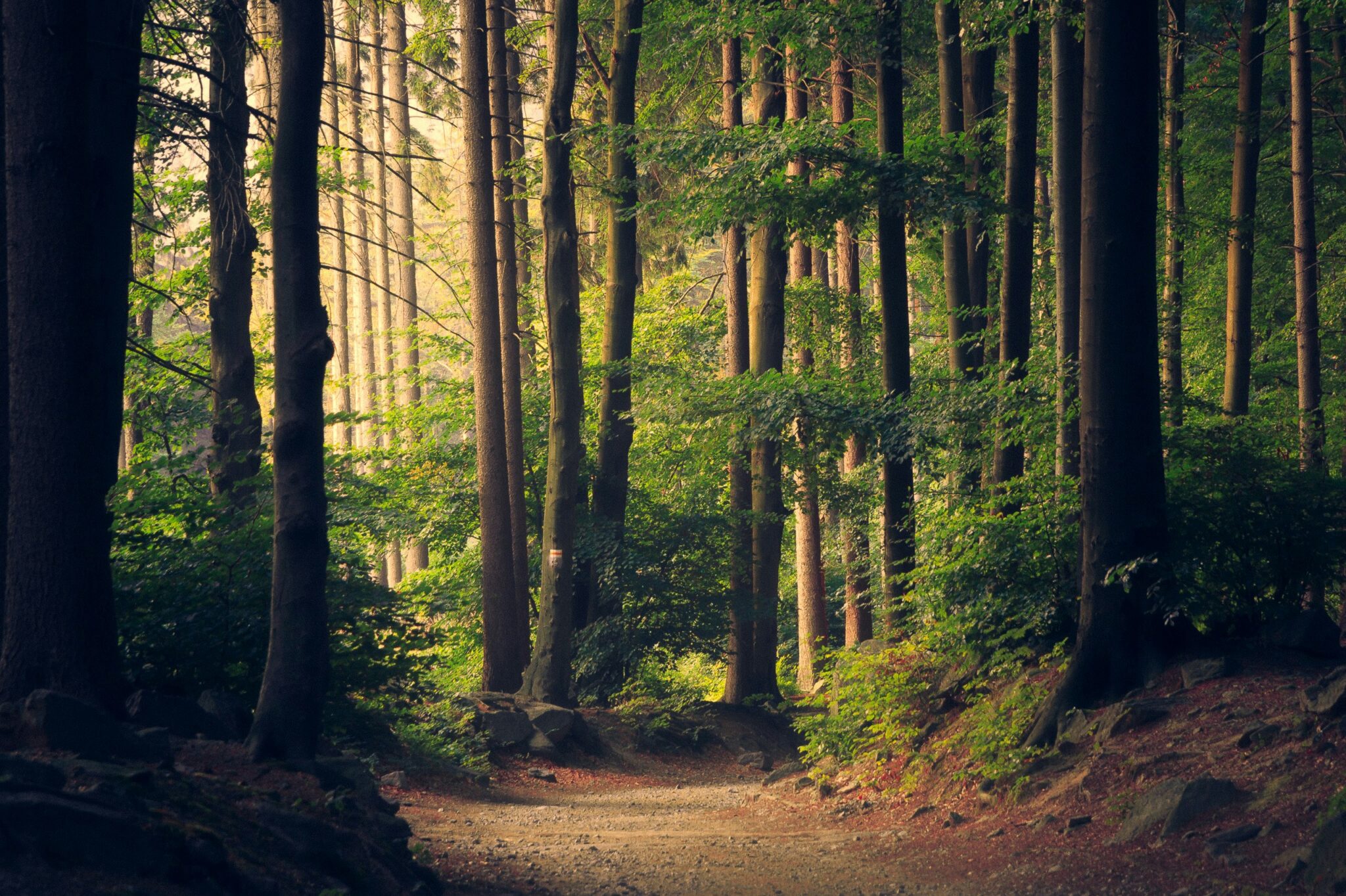 Natures spiritual essence